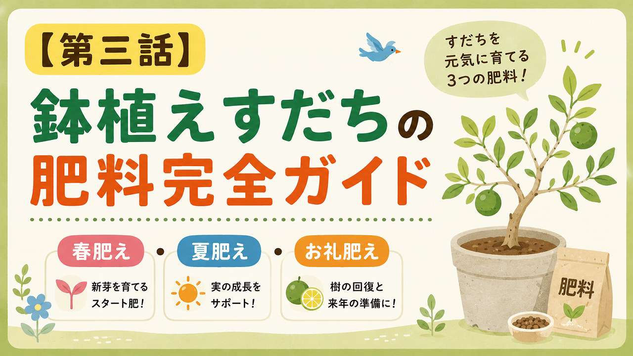 鉢植えすだちの肥料完全ガイド｜春肥え・夏肥え・お礼肥えの役割とは？