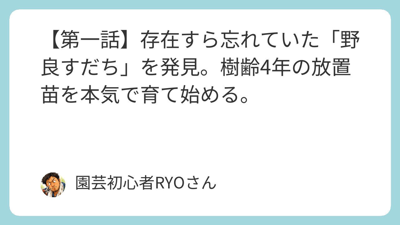存在すら忘れていた「野良すだち」を発見。樹齢4年の放置苗を本気で育て始める。