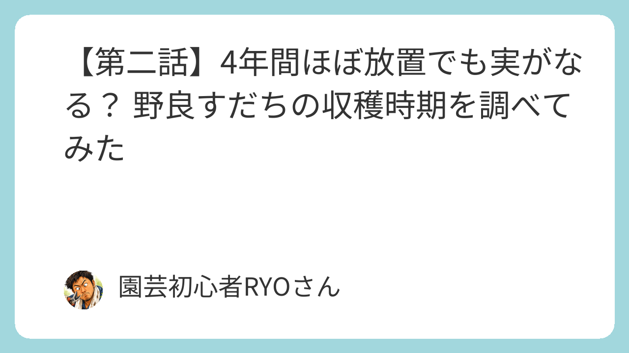 4年間ほぼ放置でも実がなる？ 野良すだちの収穫時期を調べてみた