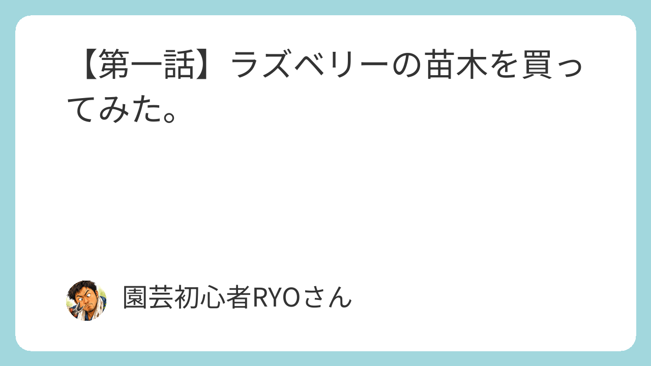 ラズベリーの苗木を買ってみた。