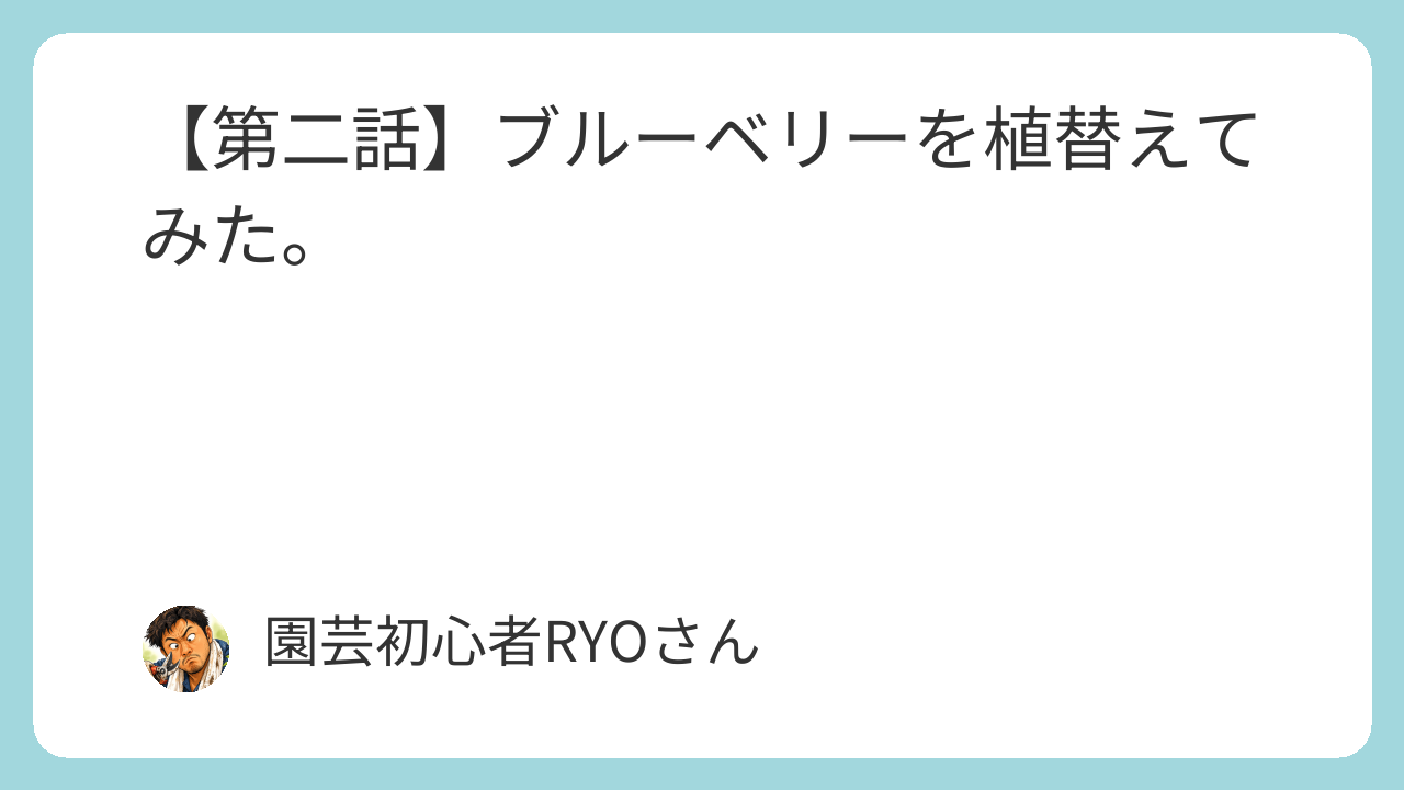 ブルーベリーを植替えてみた。