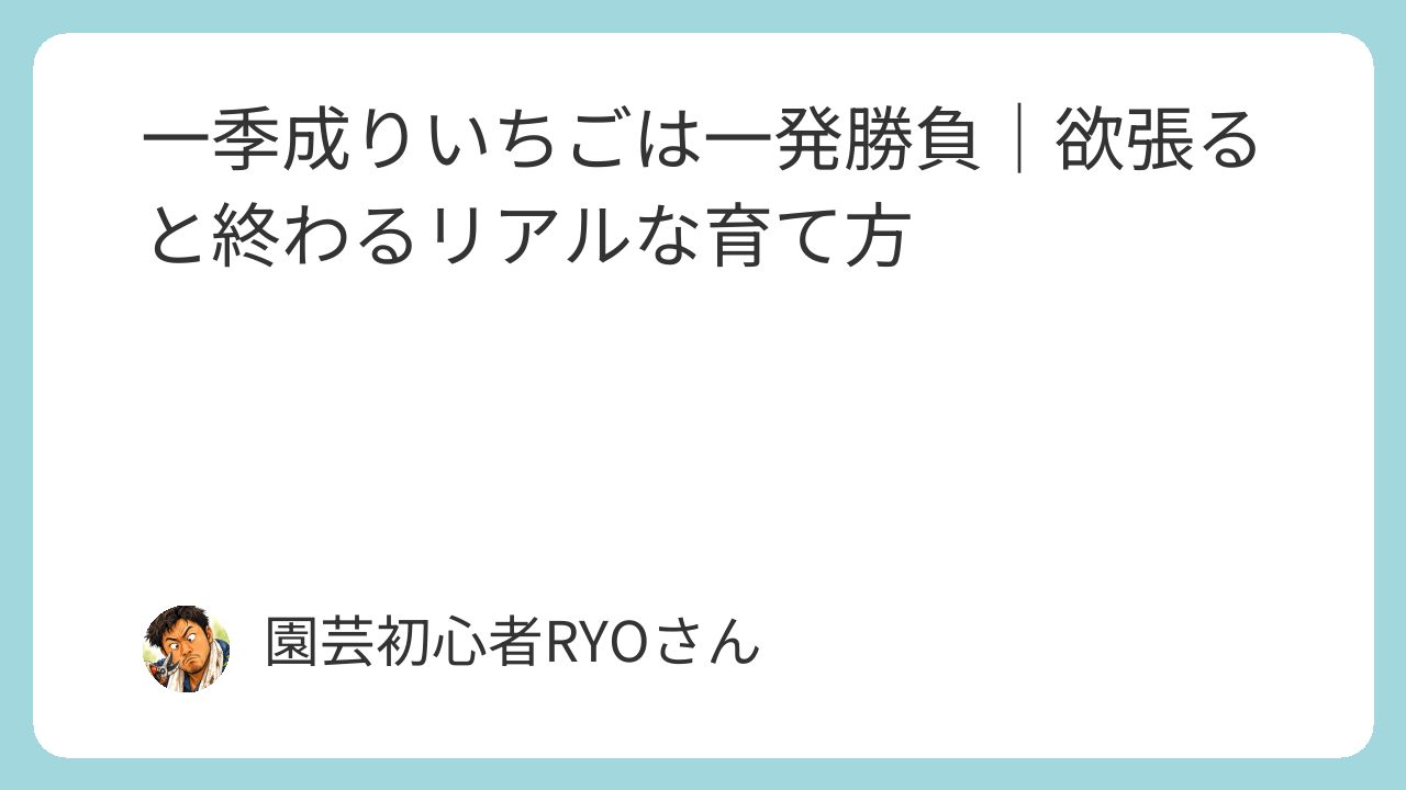 一季成りいちごは一発勝負｜欲張ると終わるリアルな育て方