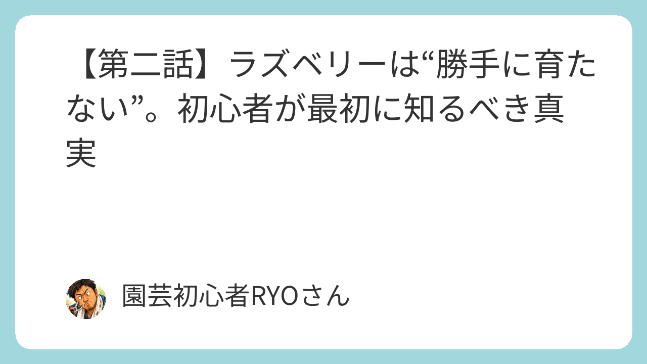 ラズベリーは“勝手に育たない”。初心者が最初に知るべき真実