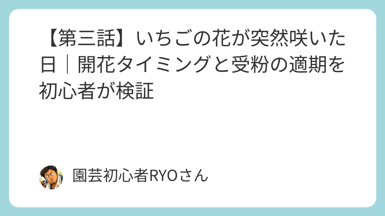 いちごの花が突然咲いた日｜開花タイミングと受粉の適期を初心者が検証