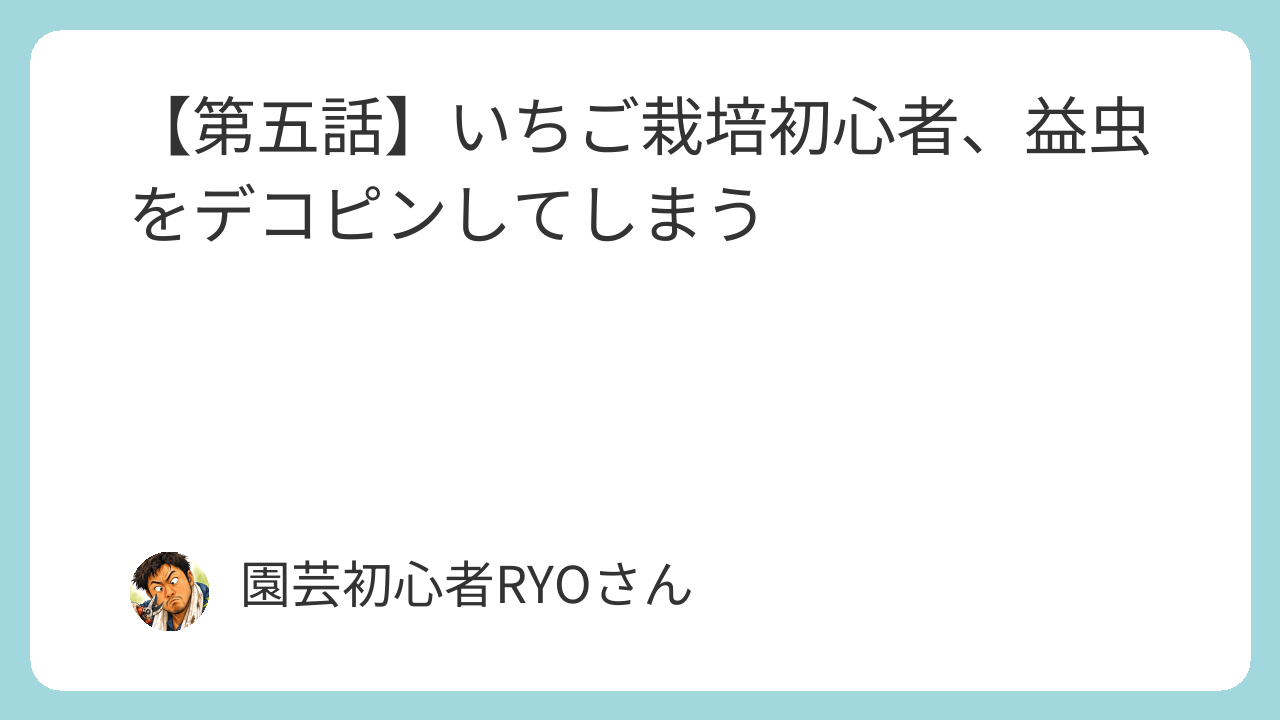 いちご栽培初心者、益虫をデコピンしてしまう