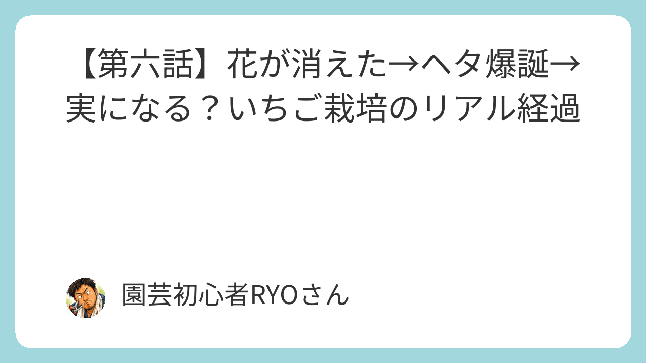 花が消えた→ヘタ爆誕→実になる？いちご栽培のリアル経過