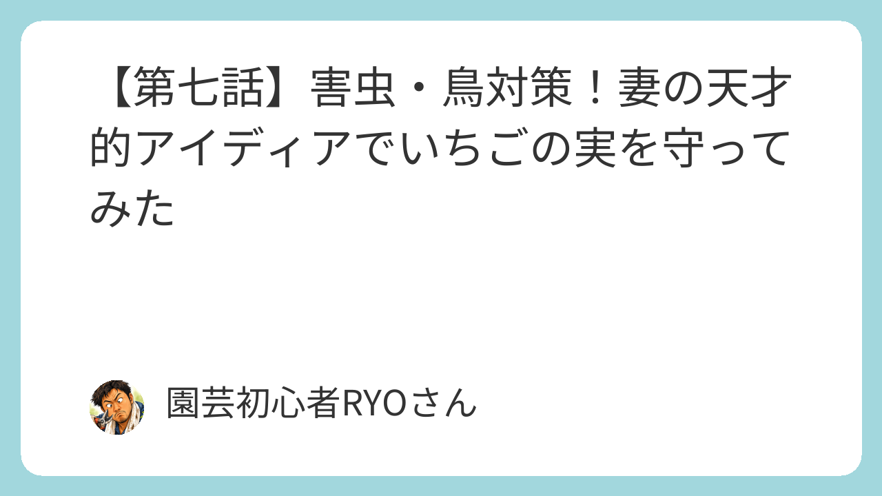 害虫・鳥対策！妻の天才的アイディアでいちごの実を守ってみた