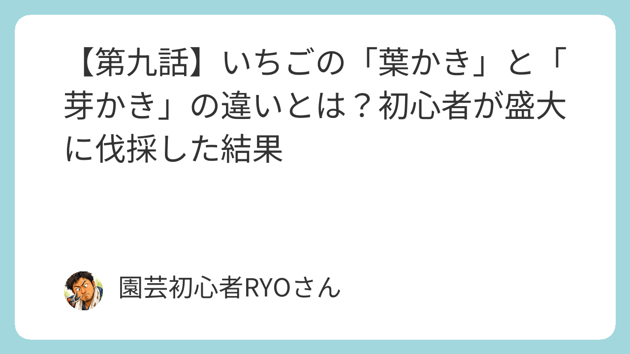 いちごの「葉かき」と「芽かき」の違いとは？初心者が盛大に伐採した結果