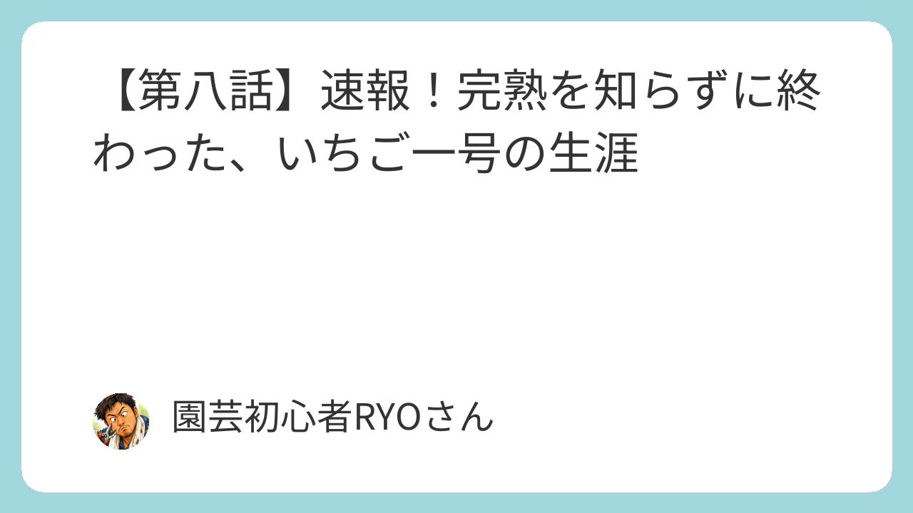 速報！完熟を知らずに終わった、いちご一号の生涯